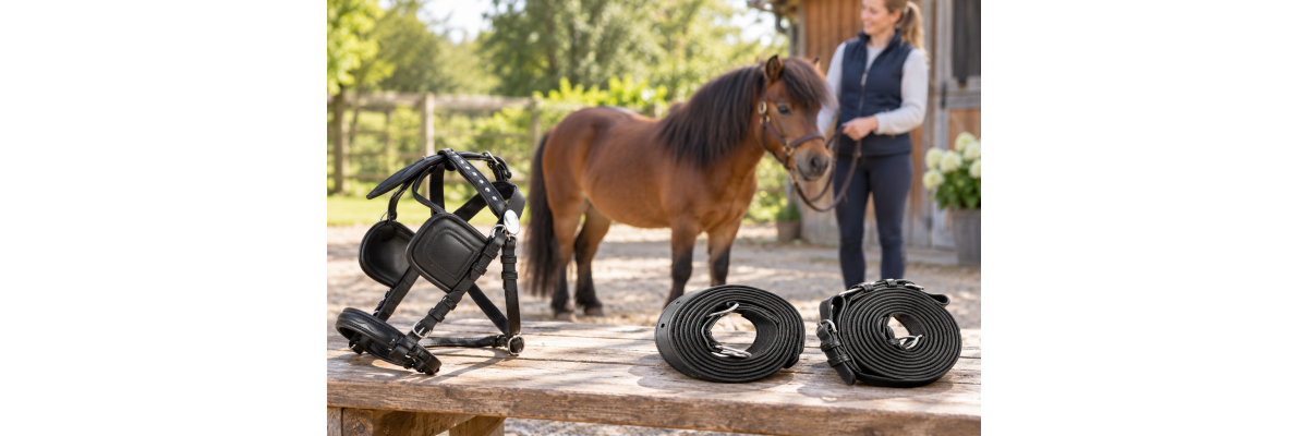 Kutschengeschirr für Ponyfahrer richtig wählen - Kutschengeschirr für Ponyfahrer richtig wählen