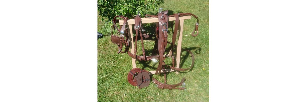 Gebrauchtes Kutschgeschirr - worauf achten? - Gebrauchtes Kutschgeschirr - worauf achten?