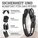 Esposita Voltigiergurt &quot;Hobby&quot; mit Beinschlaufen und breiter Wirbels&auml;ulenfreiheit Pony