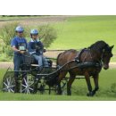 Zilco Kombinationsgeschirr "ZGB Einsp&auml;nner Set" Cob