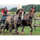 Zilco Zweisp&auml;nnergeschirr "Elite" Zweisp&auml;nner Set - Full Size