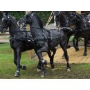 Zilco Viersp&auml;nnergeschirr "Elite" Viersp&auml;nner Set - Extra Full Size