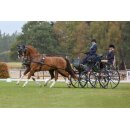 Zilco Zweisp&auml;nnergeschirr "Classic Zweisp&auml;nner Set" Cob