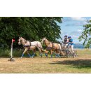 Zilco Tandemgeschirr "Classic Tandem Set" (Vorderpferd) Cob