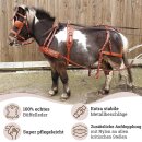Esposita Einsp&auml;nnergeschirr &quot;Anatomic Style&quot; Cronic Braun Gr. Mini-Mini-Shetty
