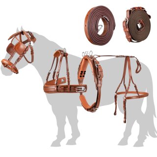 glatt und leicht gebogen 16,5cm German Riding Esposita Postkandare mit 3 Ringen aus Edelstahl Stange aus Messing