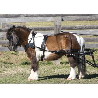 Zilco SL Sportz single horse set