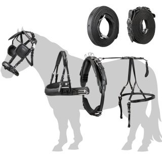 Esposita single harness set &quot;Anatomic&quot; black Gr. mini-mini-shetty to shetty