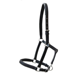 Stall- und Weidehalfter aus Leder, "extra...