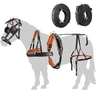 Esposita Einspännergeschirr...