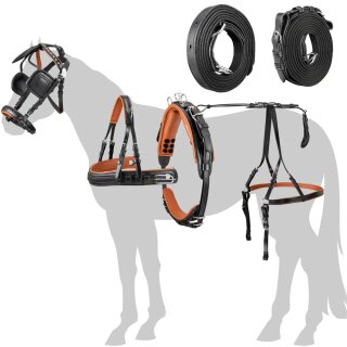 Esposita Einspännergeschirr...