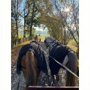 Esposita Fahrdecke Nierendecke - Fahrnierendecke aus Fleece - Schwarz Shetty