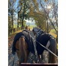 Esposita Fahrdecke Nierendecke - Fahrnierendecke aus Fleece - Schwarz Full