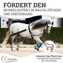 elastische Longierhilfe zur Hinterhandaktivierung
