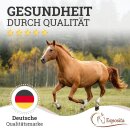 elastische Longierhilfe zur Hinterhandaktivierung