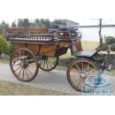 Linzer Wagen edle Kutsche für Pferde