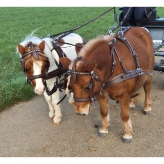 Esposita Zweispännergeschirr "Anatomic" Braun Pony