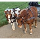 Esposita Zweisp&auml;nnergeschirr "Anatomic" Braun Cob