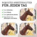 Seil-Halfter &quot;Ranch&quot; mit rostfreien Messingbeschl&auml;gen Braun