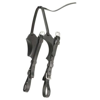 Zilco Dolly Varden Halbe Scheuklappen Full