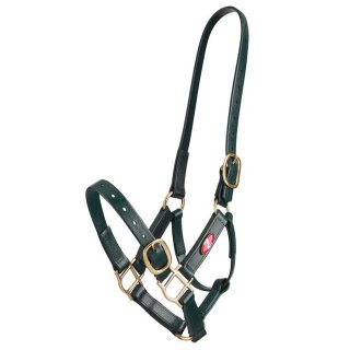 Zilco 25mm PN Halfter Cob Dunkelgrün
