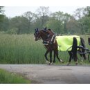 Esposita Reflex Fahrdecke, Fliegenfahrdecke, leicht und luftig Mini Shetty