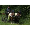 Esposita Reflex Fahrdecke, Fliegenfahrdecke, leicht und luftig XFull