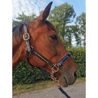 Lederhalfter Elegance