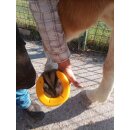 Iron Block Hufschuhe zum Kleben - Klebebeschlag Hinten 2