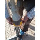 Iron Block Hufschuhe zum Kleben - Klebebeschlag Hinten 2