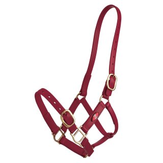 Zilco PN Halfter 25 mm – Burgund, Cob