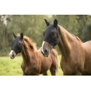 Lami-Cell Lycra Fliegenmaske Schwarz Large