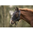 Lami-Cell Lycra Fliegenmaske Schwarz Large