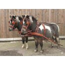 Zweispännergeschirr "Anatomic" Cronic Braun