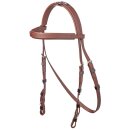 Hackamore Zaumzeug