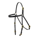 Track Wise Open Race Bridle