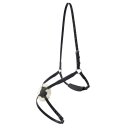 mexikanisches Reithalfter gepolstert Cob/Full