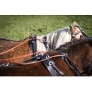 Esposita Zweisp&auml;nnergeschirr "Anatomic" Schwarz