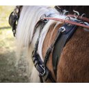 Esposita Zweisp&auml;nnergeschirr "Anatomic" Schwarz