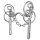 Zilco Swales Liverpool Kandare Low Port 14cm