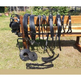 Esposita Zweispännergeschirr "Anatomic"...