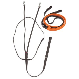 Training Market Harborough braun