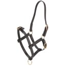 Zilco PN Fohlenhalfter