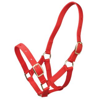 Zilco Gymkhana Fohlenhalfter Rot