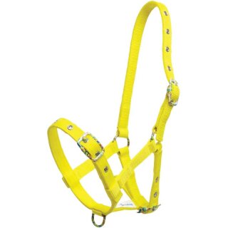Zilco Fancy Buckle Fohlenhalfter Gelb