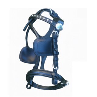 Fahrzaum Anatomic Kopfstück Schwarz X-Shetty
