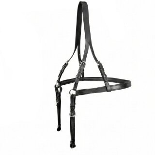 Hintergeschirr für Einspänner komplett Schwarz