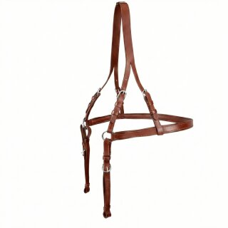 Hintergeschirr für Einspänner komplett Cronic...