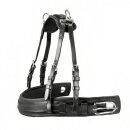 Anatomic Brustblatt Set für Einspänner Schwarz