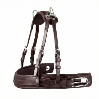 Anatomic Brustblatt Set für Einspänner Braun